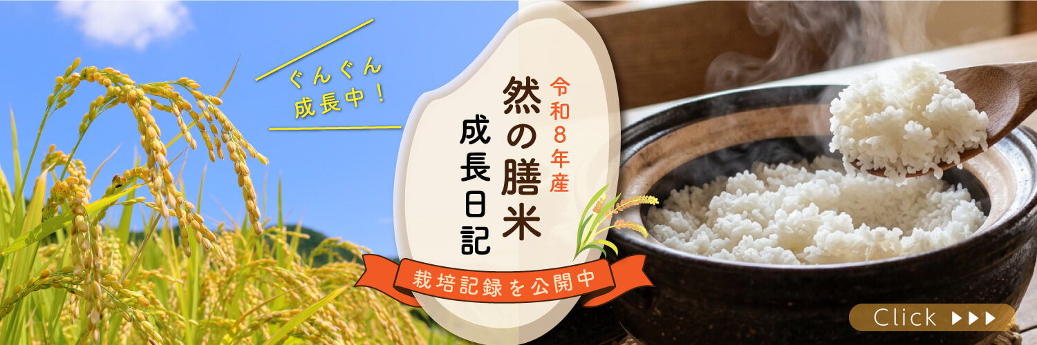 然の膳米 成長日記